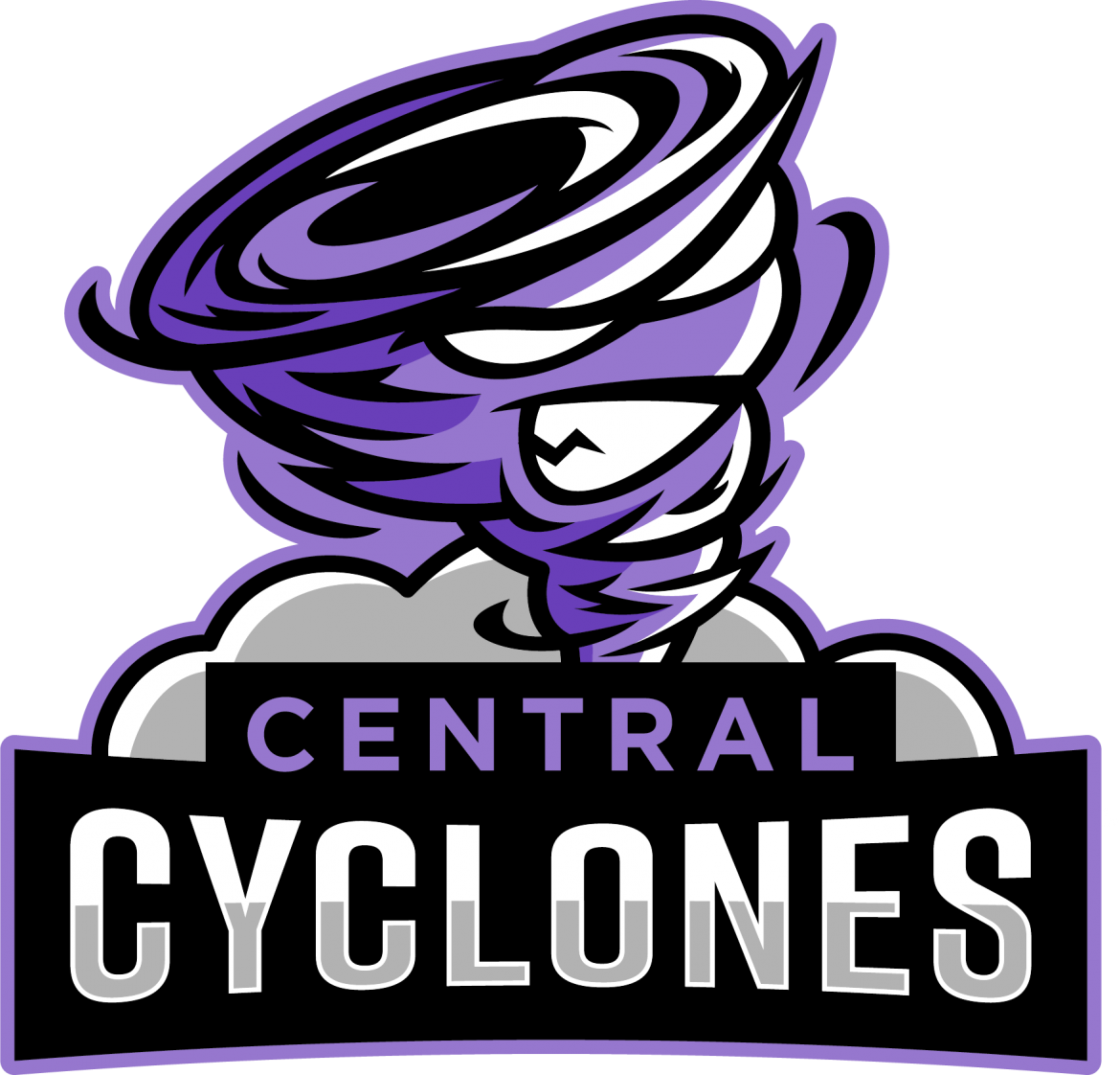 Central Academy Logo